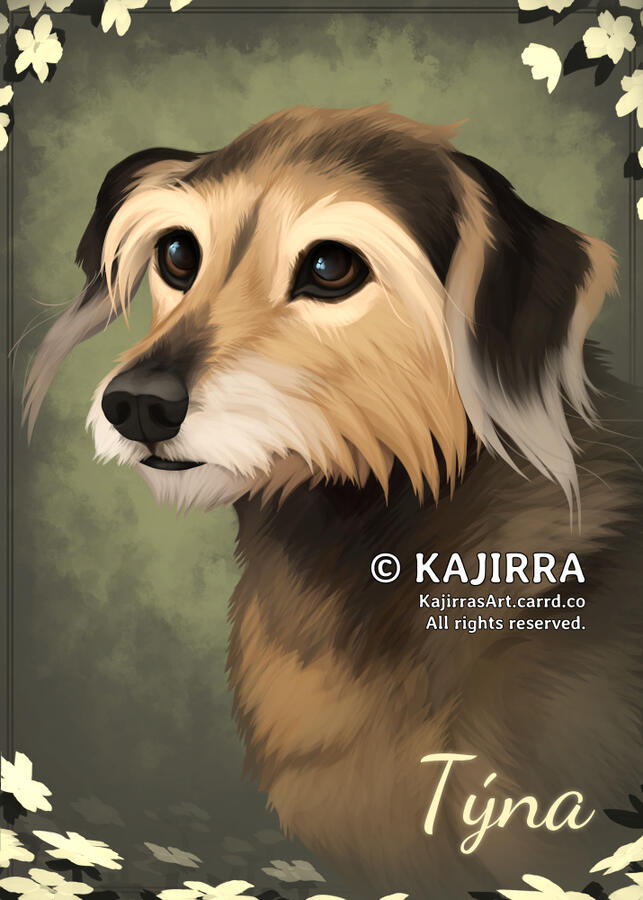 Pet portrait © Maxyza